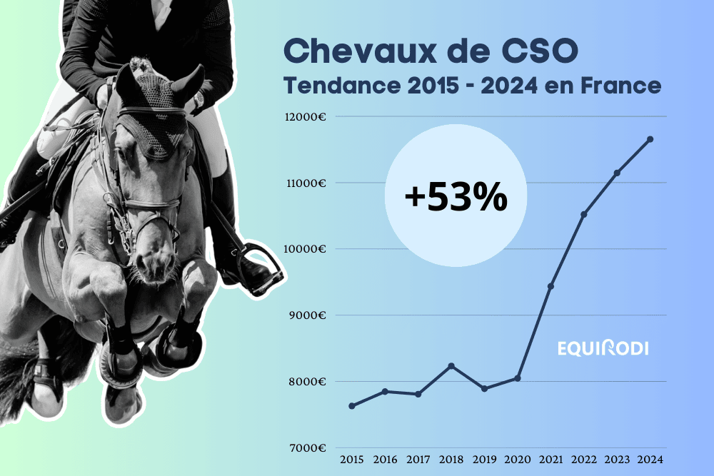 Marché du cheval de CSO 2015 - 2024