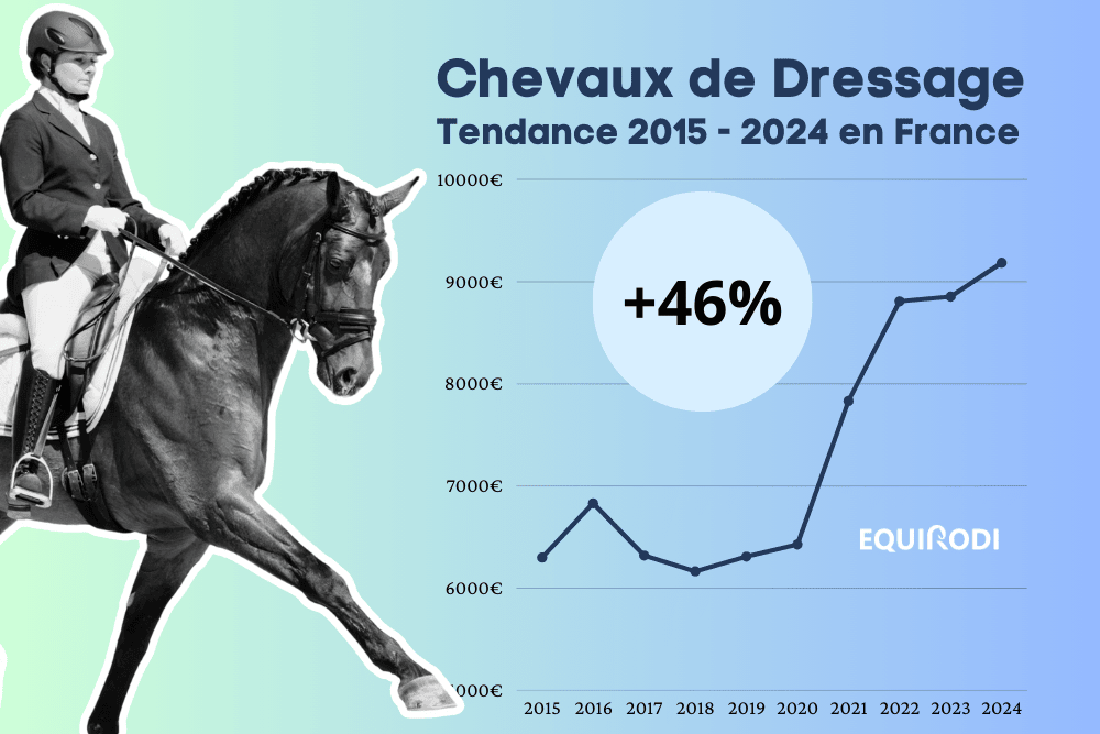 Marché du cheval de Dressage 2015 - 2024