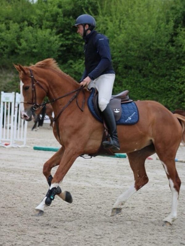 MFR Songeons - Cavalier