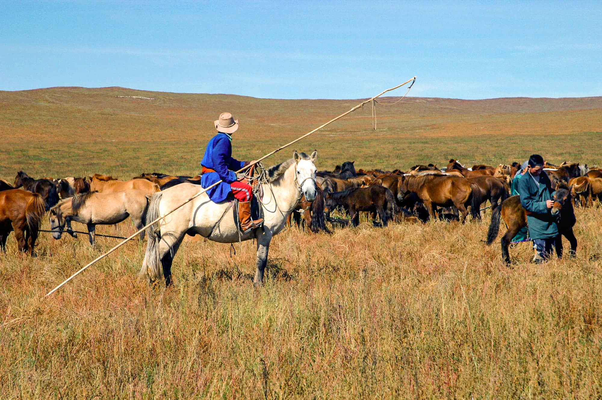 Voyage à cheval - Mongolie