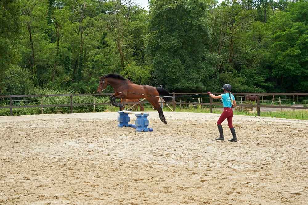 UCPA- Métiers cheval - Longer