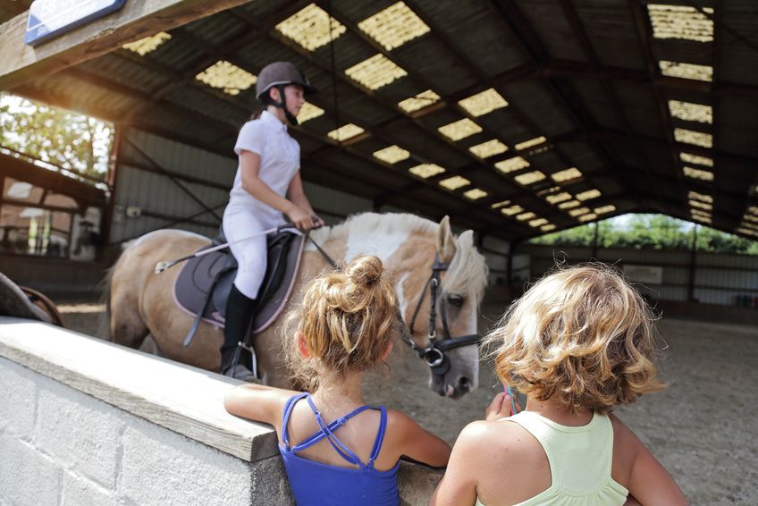 onderhoud eten antwoord Uw pony met succes verkopen | Equirodi Nederland