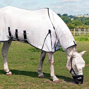 Produits et soins anti mouches et insectes pour chevaux