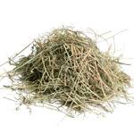 Foin