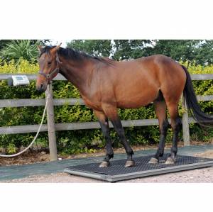 Balances pour chevaux
