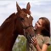 Compléments alimentaires pour le comportement du cheval