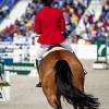 Compléments alimentaires pour la forme et la performance du cheval