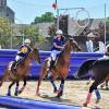 Matériel pour l'entraînement du cheval de horse-ball