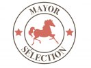 mayorselection