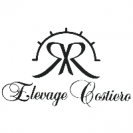 Costiero