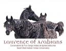 laurenceofarabians