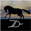 user_DSCSQC