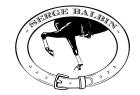 BalbinDressage