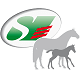 Association des éleveurs de chevaux de sport de la Sarthe