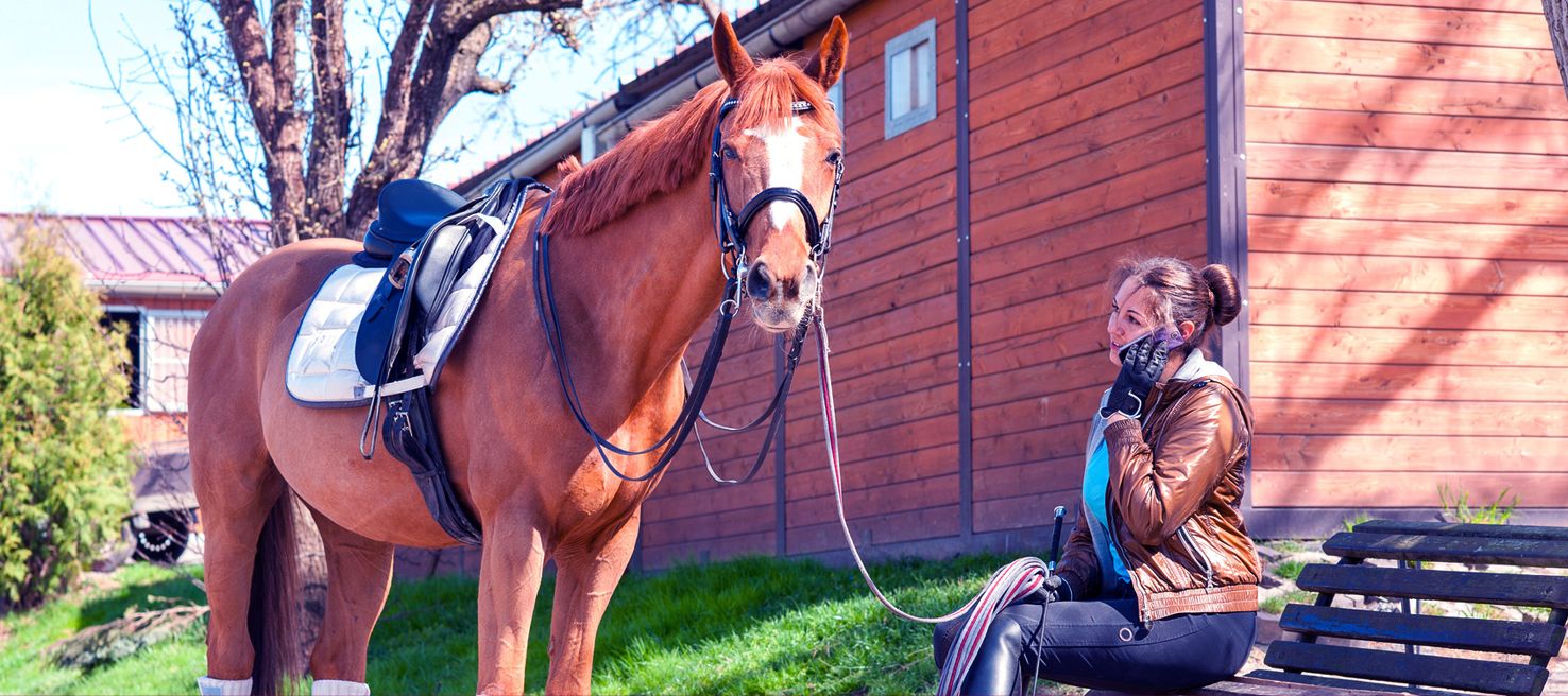 Paarden te zetten? Gratis paarden marktplaats tevens voor al uw ruitersport producten. | Nederland