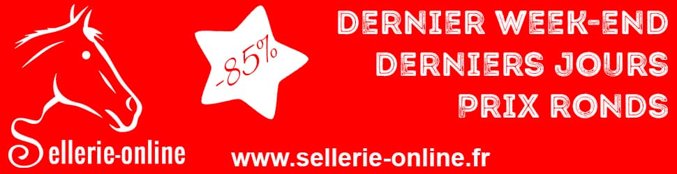 trotteur réformé des courses a vendre