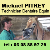 Mickaël PITREY - Dentiste Equin