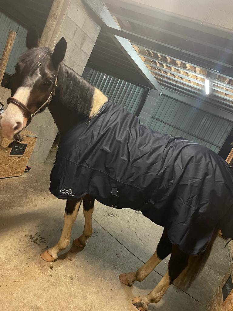 Couverture d'extérieur Equiline Calantha - 200G 1200D