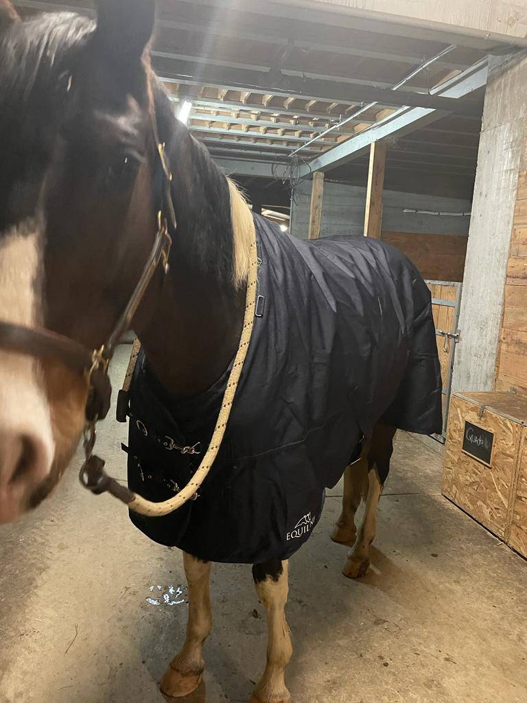 Couverture d'extérieur Equiline Calantha - 200G 1200D