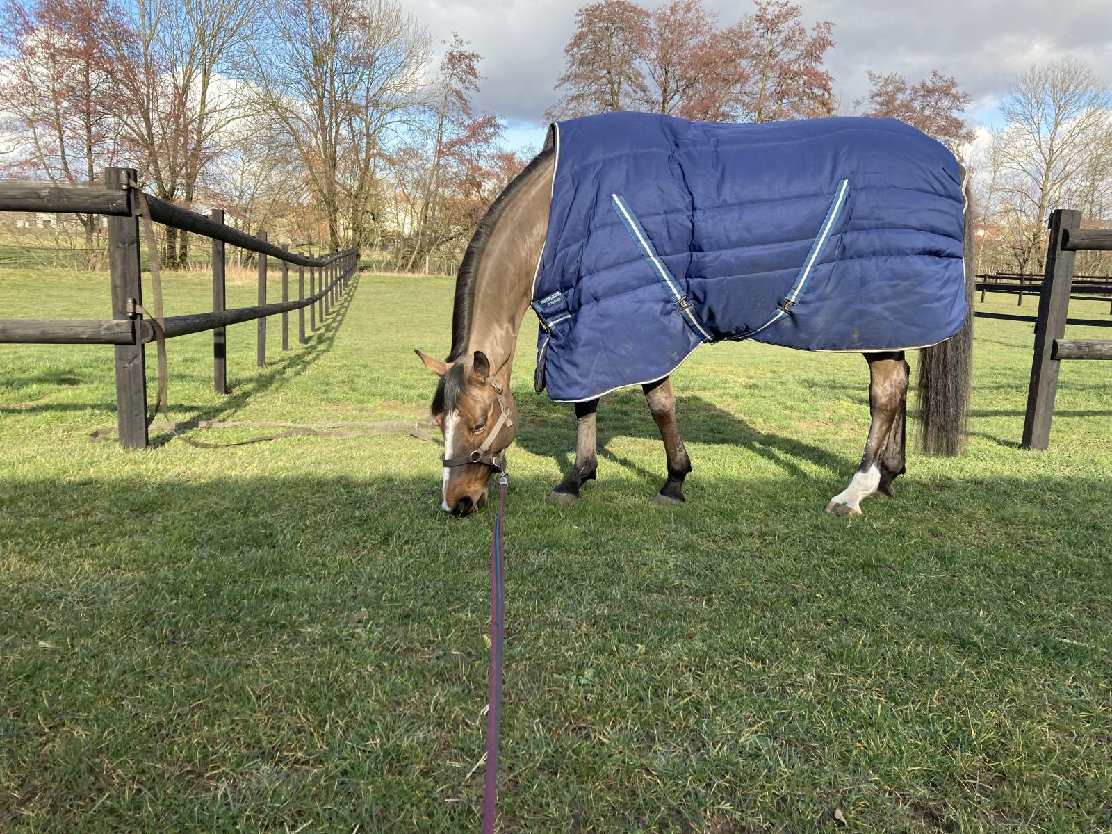 Couverture Horseware - Rambo de box 400gr