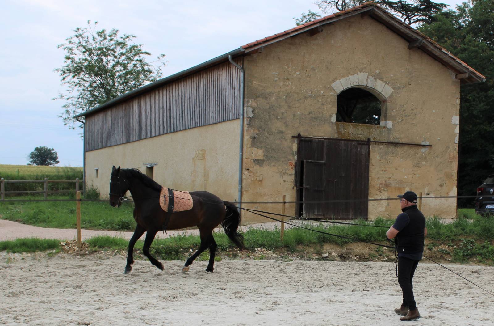 Longues Rênes Eric Thomas Noires