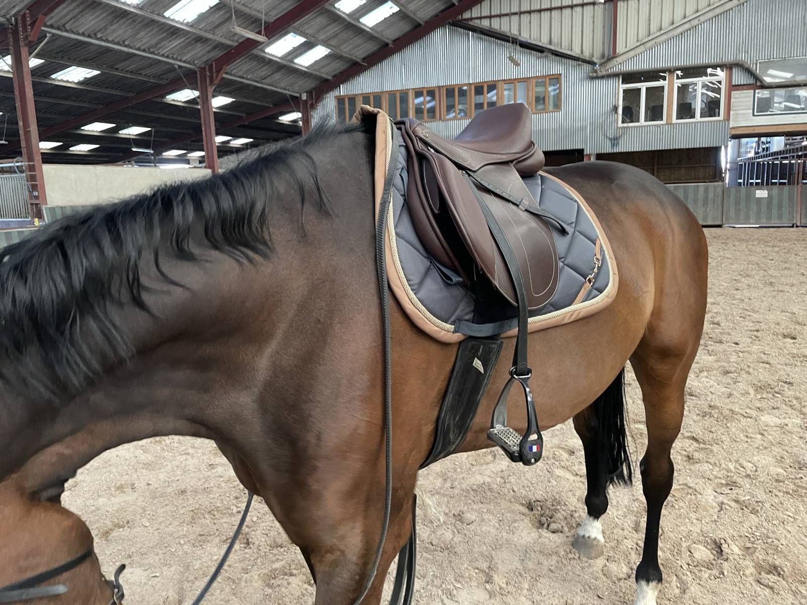 Selle Jumping Canyon HKM