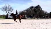Selle monoquartier Eric Thomas fitter cross 17’5